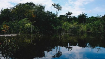 Manaus