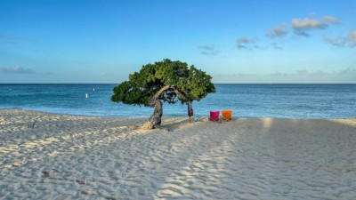 A Quiet, Queer Afternoon in Aruba