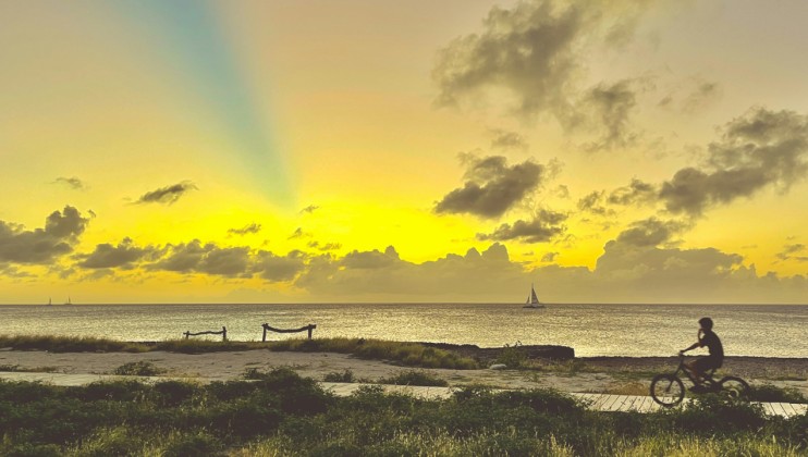 The First Night I Let Aruba See Me