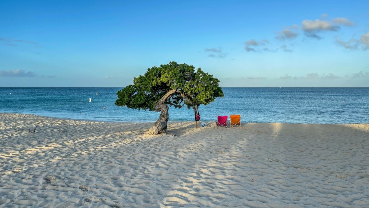 A Quiet, Queer Afternoon in Aruba